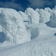 Illustration for article titled Snow monsters rise across Japan